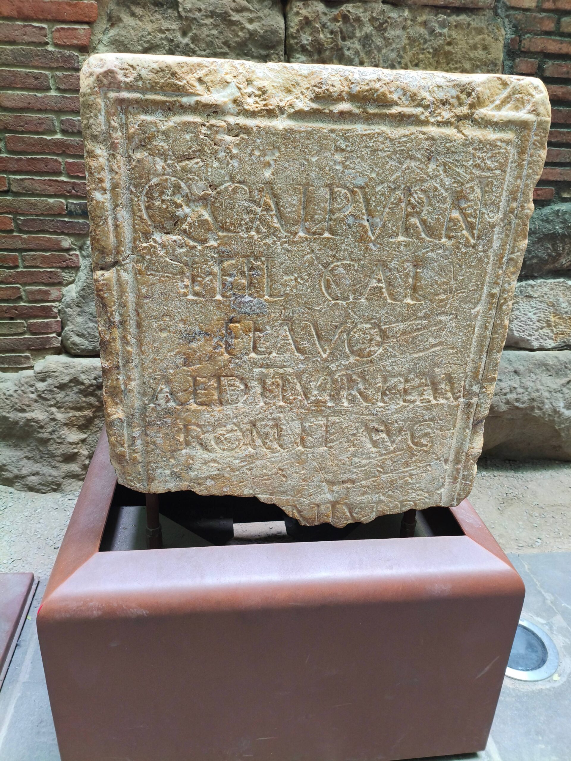 IMG_20260220_114644-min