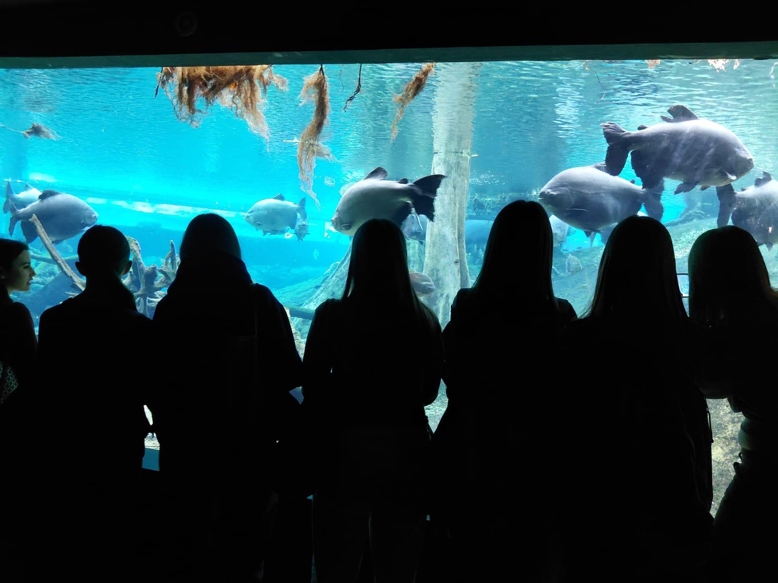 WhatsApp Image 2026-02-20 at 14.23.17 (2)