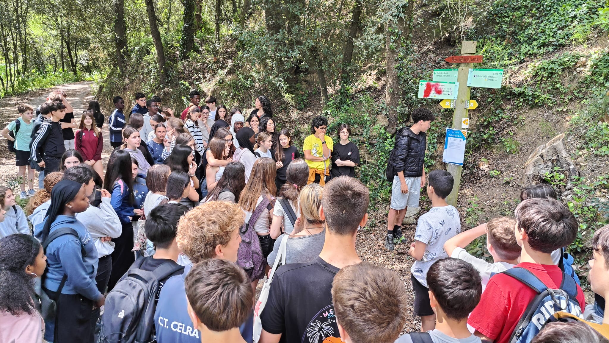 Foto de Mireia Guillaumes(11)