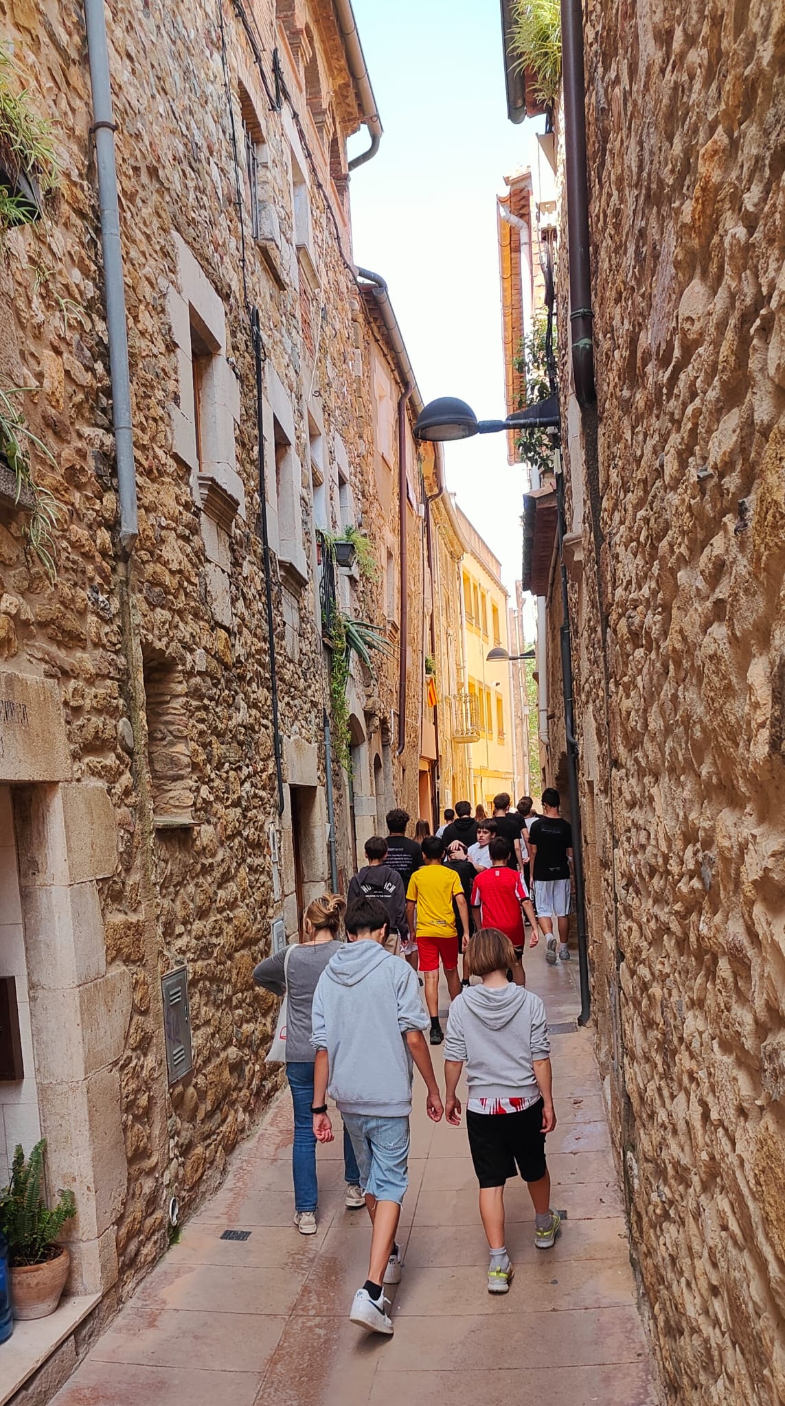 Foto de Mireia Guillaumes(12)