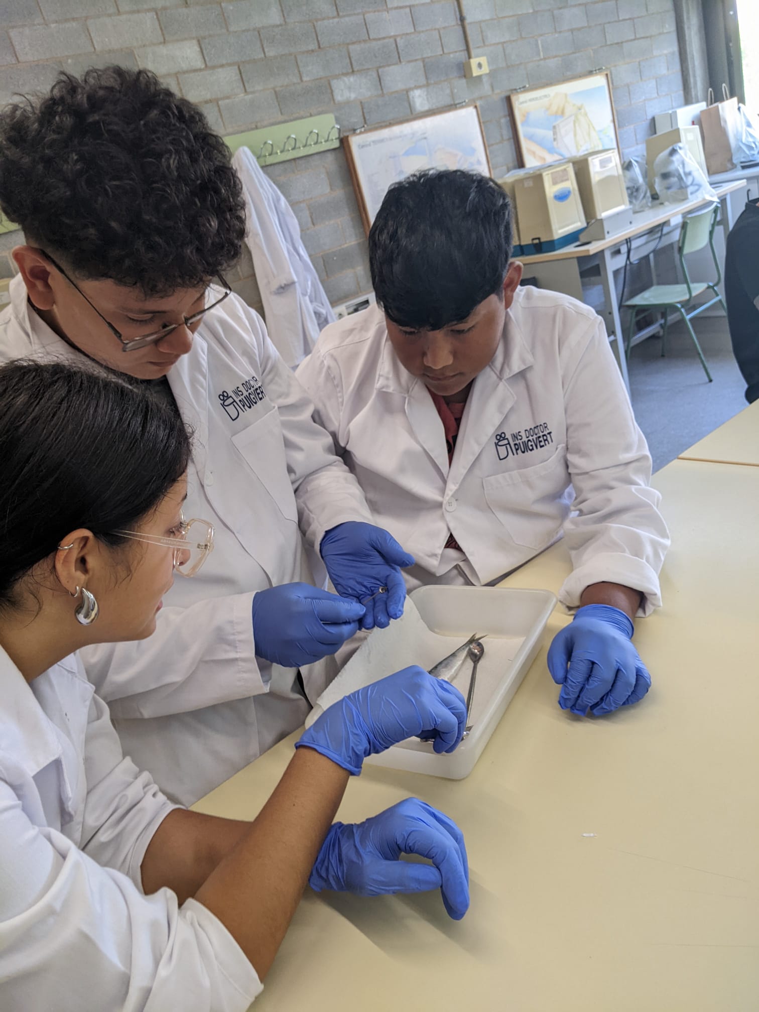 Foto de Lourdes Costa Quera (1)