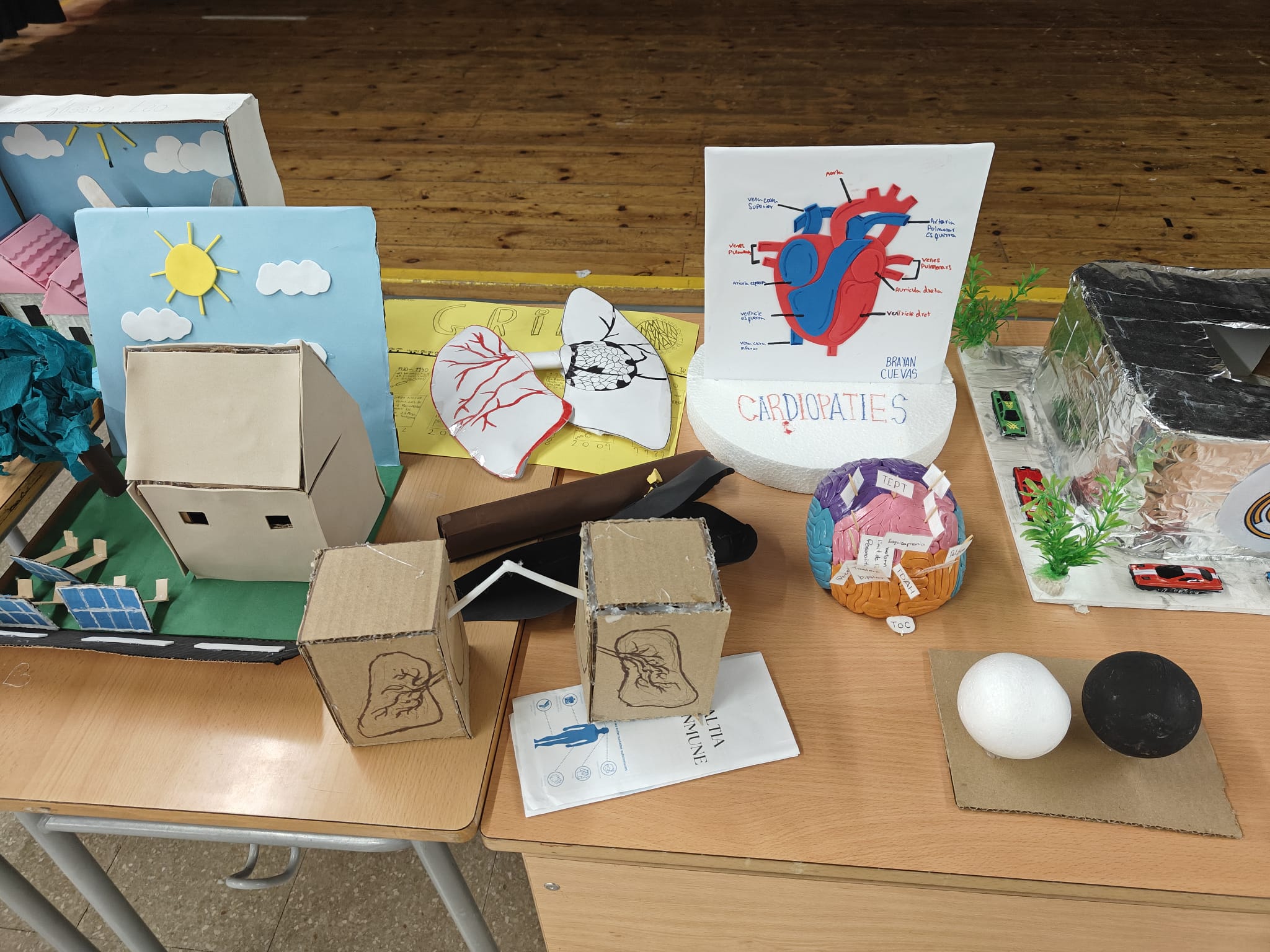 Foto de Lourdes Costa Quera (13) - còpia