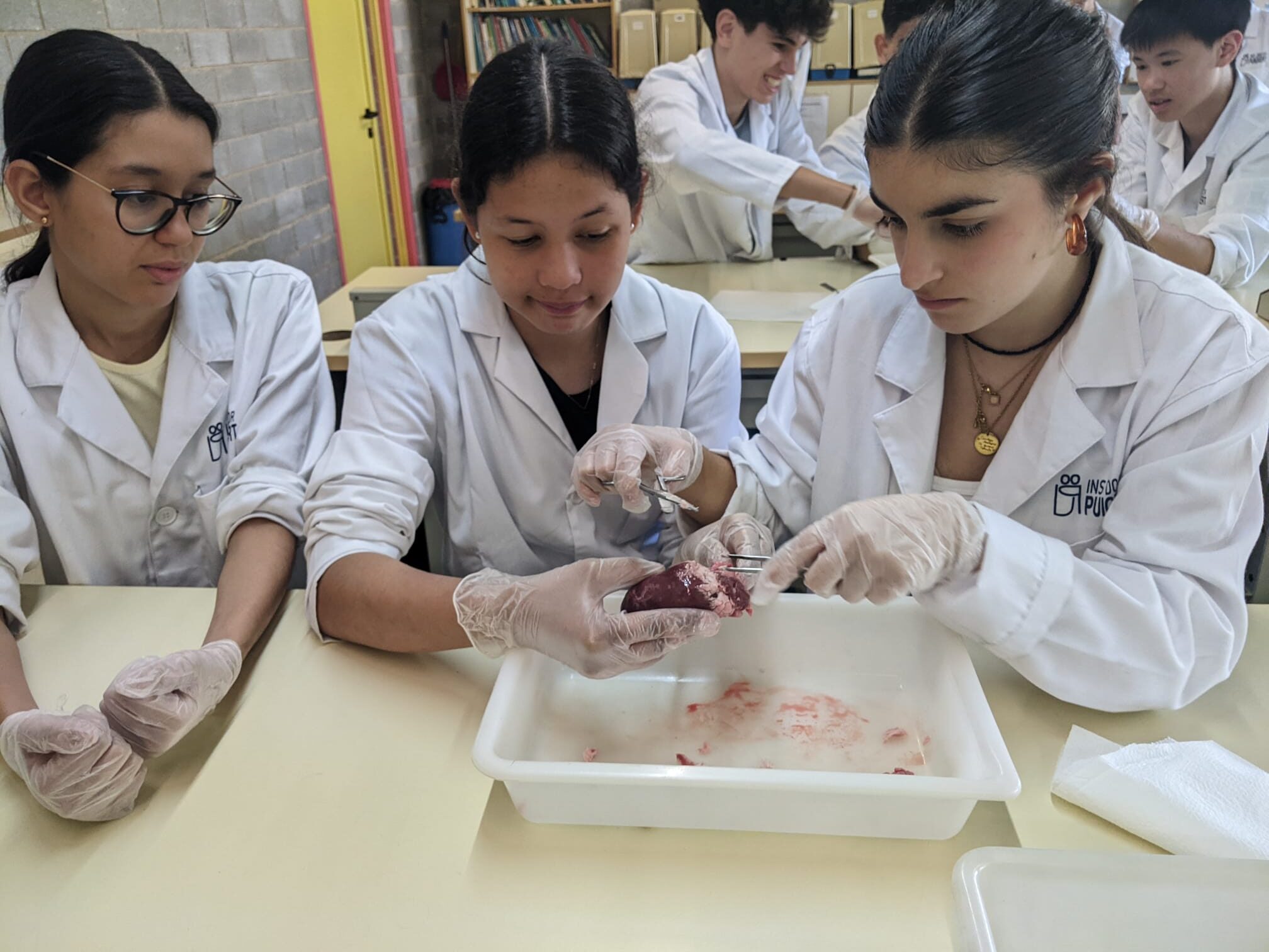 Foto de Lourdes Costa Quera (16)