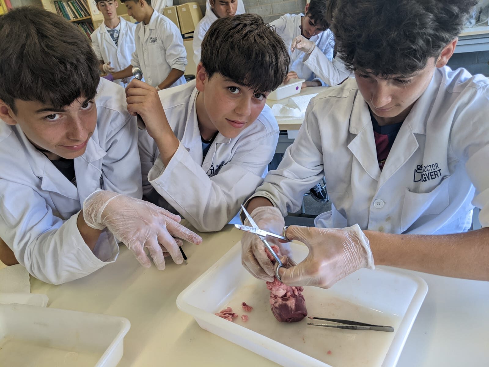 Foto de Lourdes Costa Quera (17)