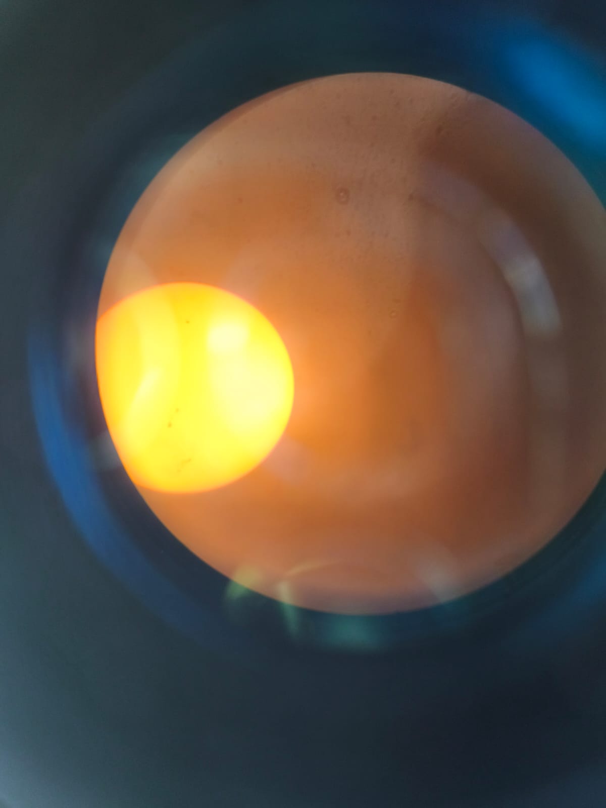 CdA4 - Olatz Muniozguren