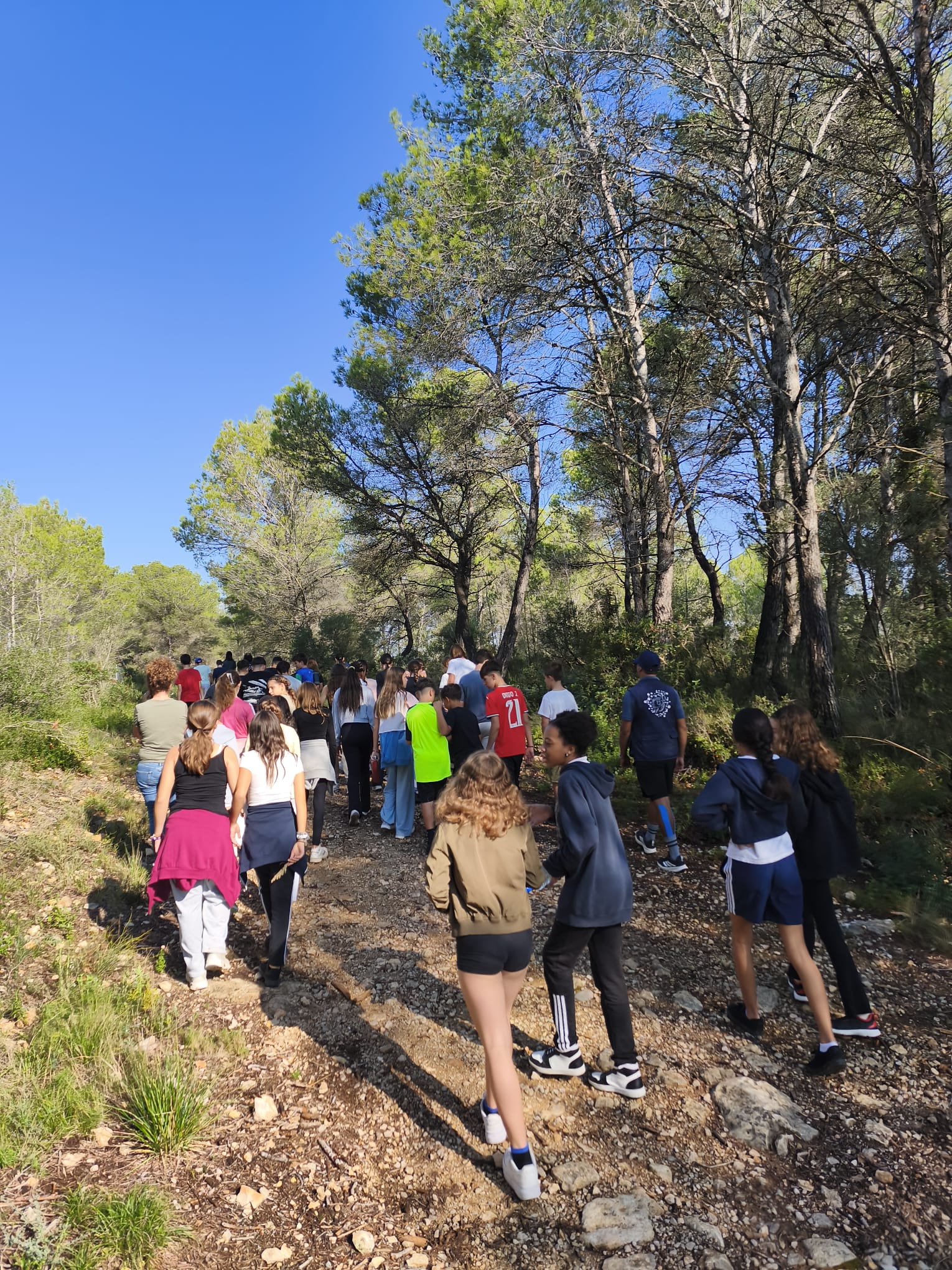 CdA5 - Olatz Muniozguren