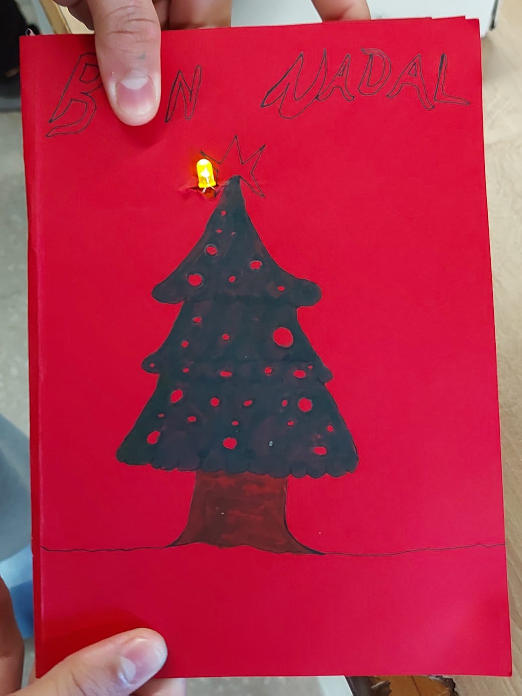 Foto de Lourdes Costa Quera (9)