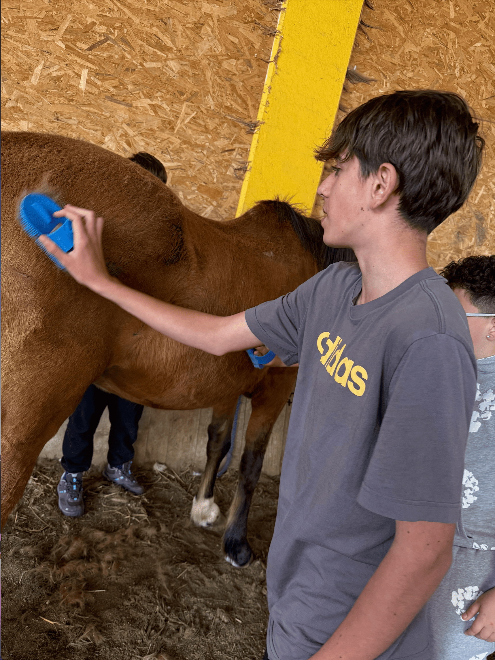 Captura de pantalla 2025-04-29 a les 16.37.34