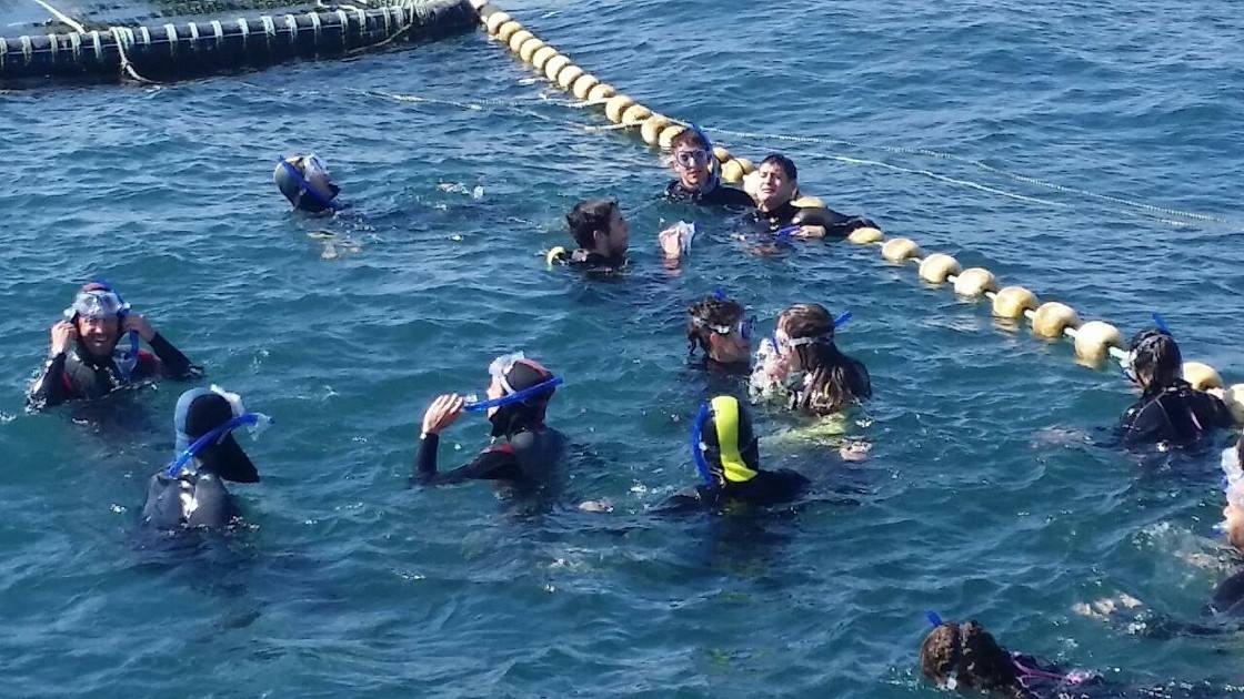 11187427_10205824880014908_833809634455796131_o