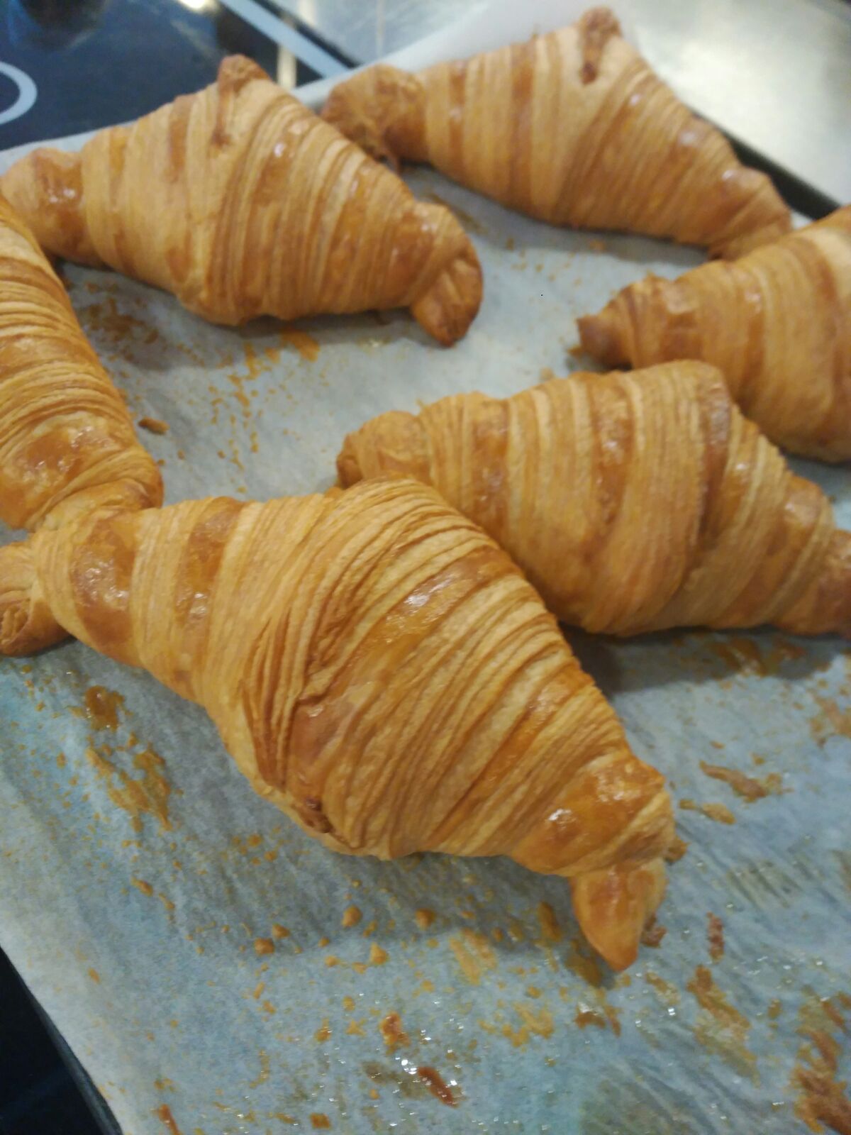 2018-02-23-PHOTO-00024270