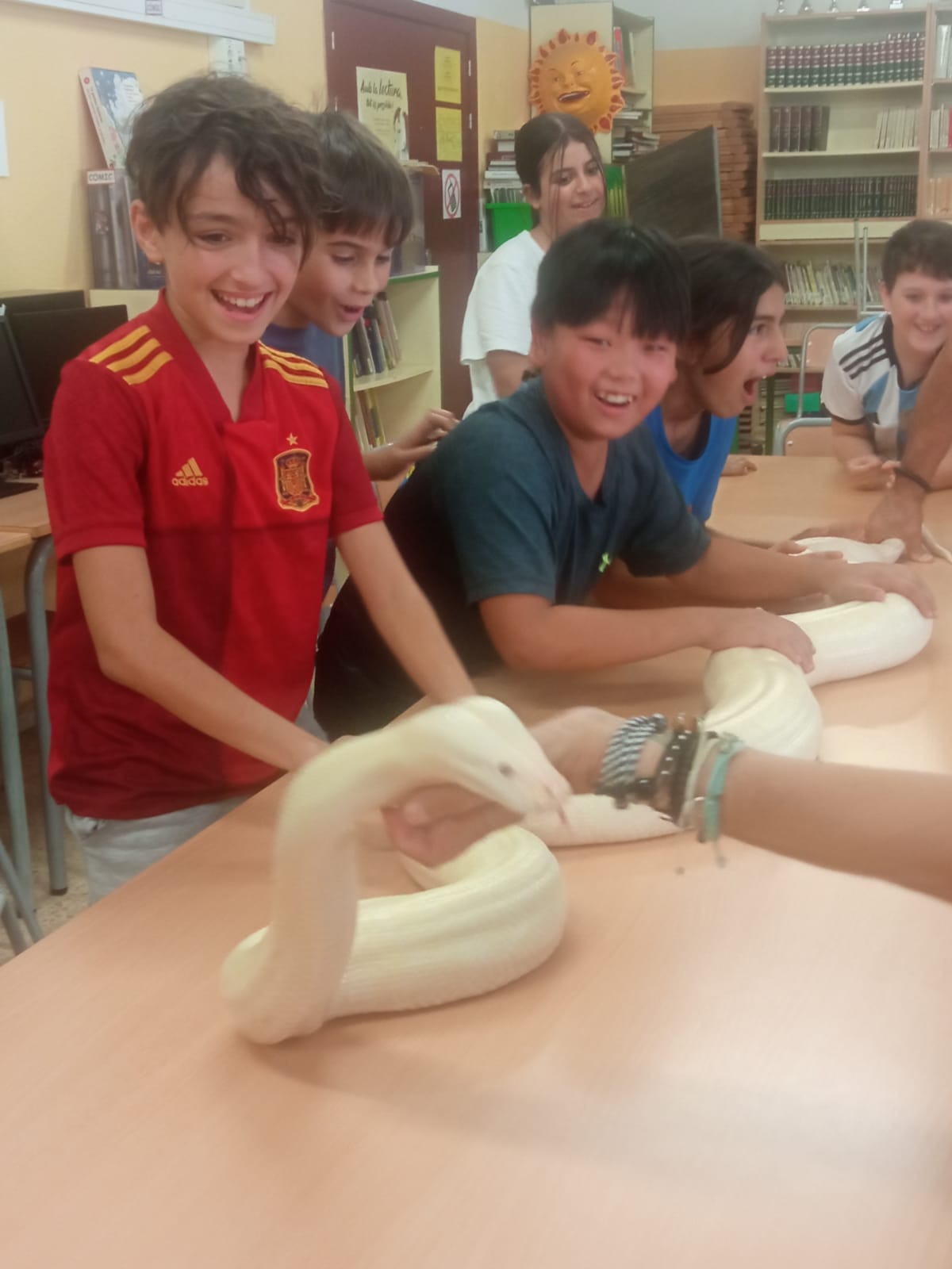 75e838a9-0a4f-47f5-ab45-e28aa9bc8a41