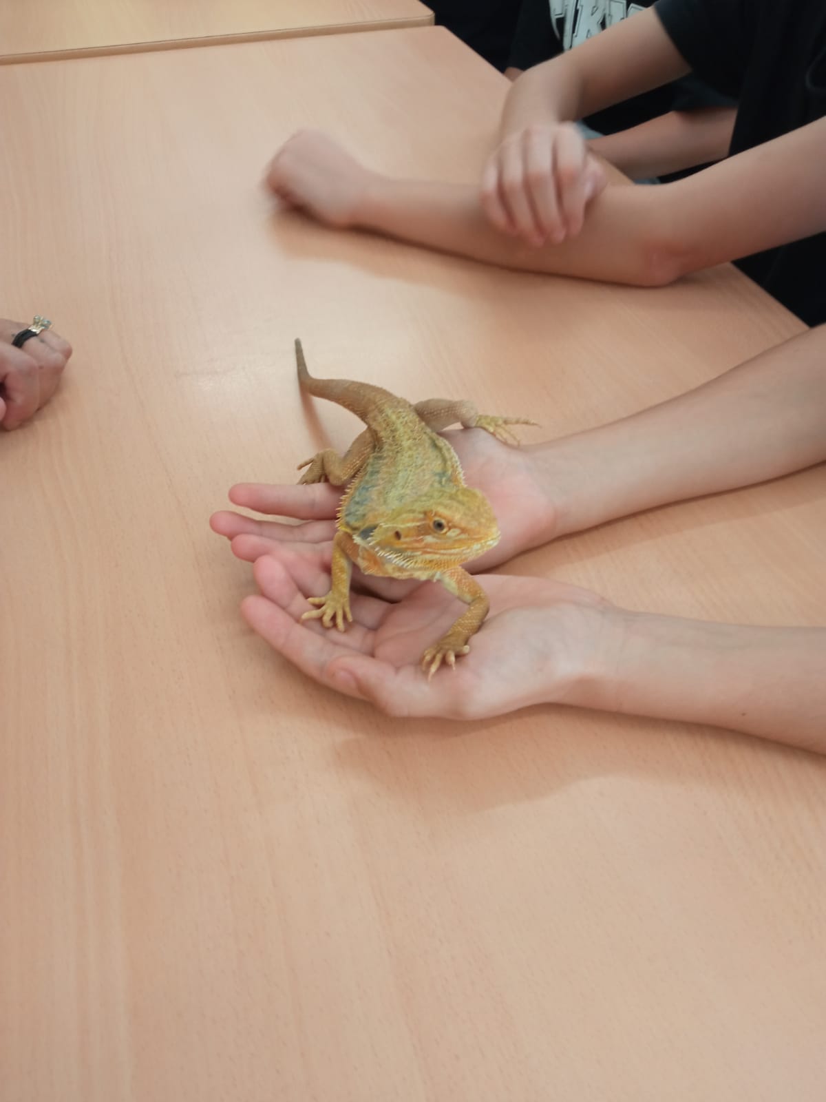 7de1a6f1-d5da-43c4-a21d-e850bd287e24