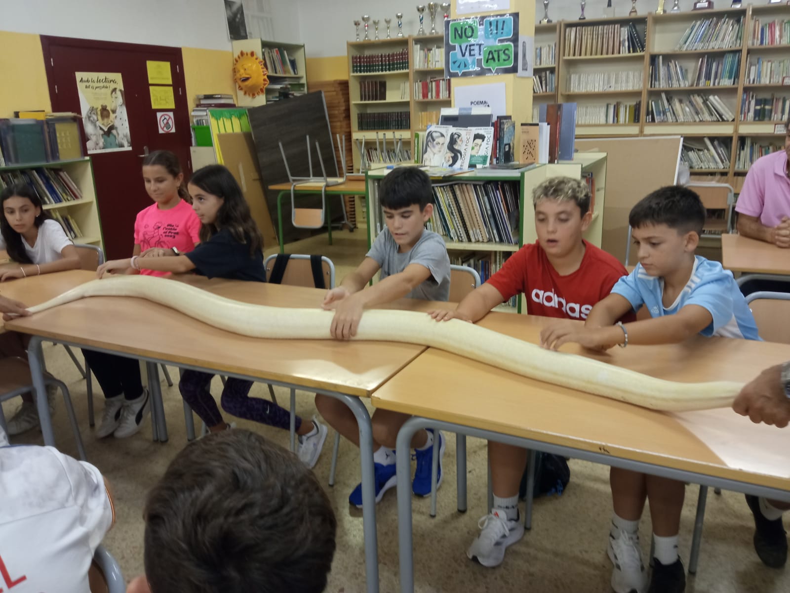 9fe2cafd-5a71-4ed1-ac7f-7fb8e0111e5c