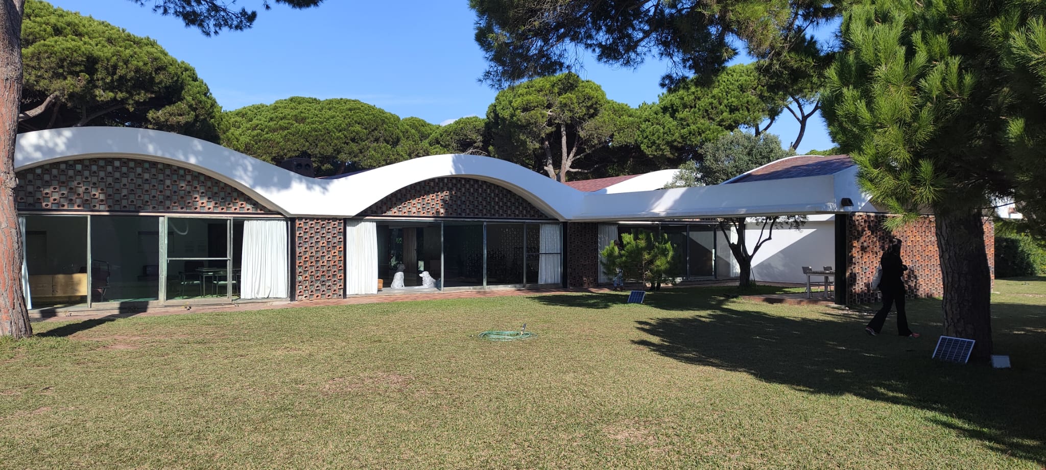 WhatsApp Image 2024-11-14 at 15.43.51