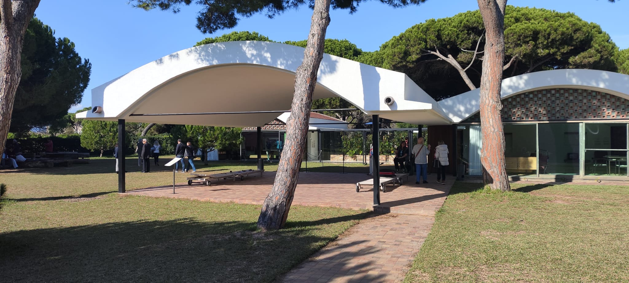 WhatsApp Image 2024-11-14 at 15.43.52(1)