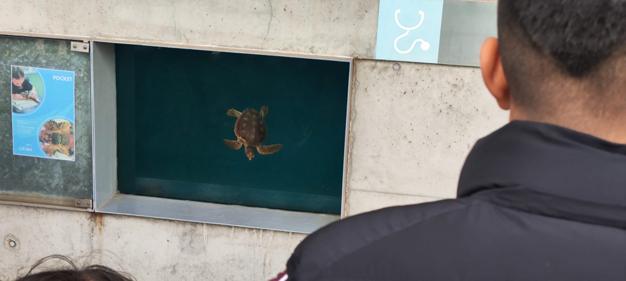 WhatsApp Image 2024-11-25 at 11.51.49