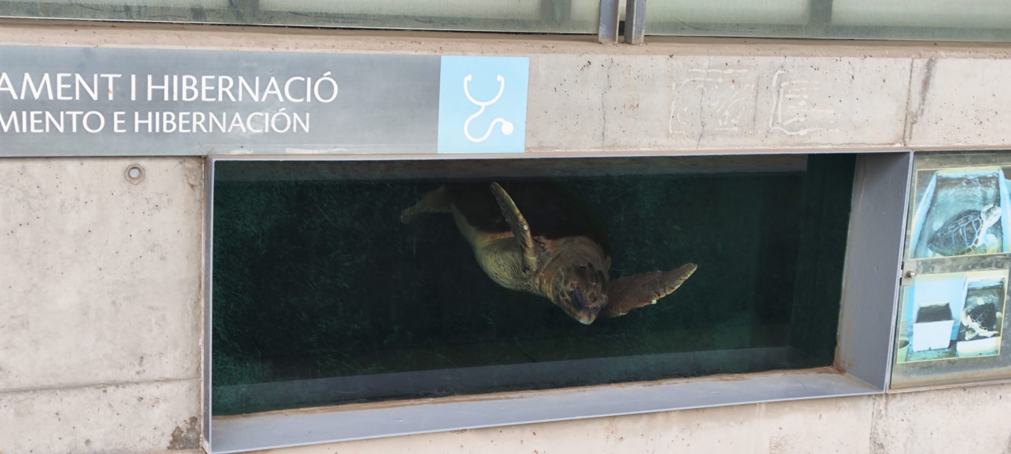 WhatsApp Image 2024-11-25 at 11.51.49(1)