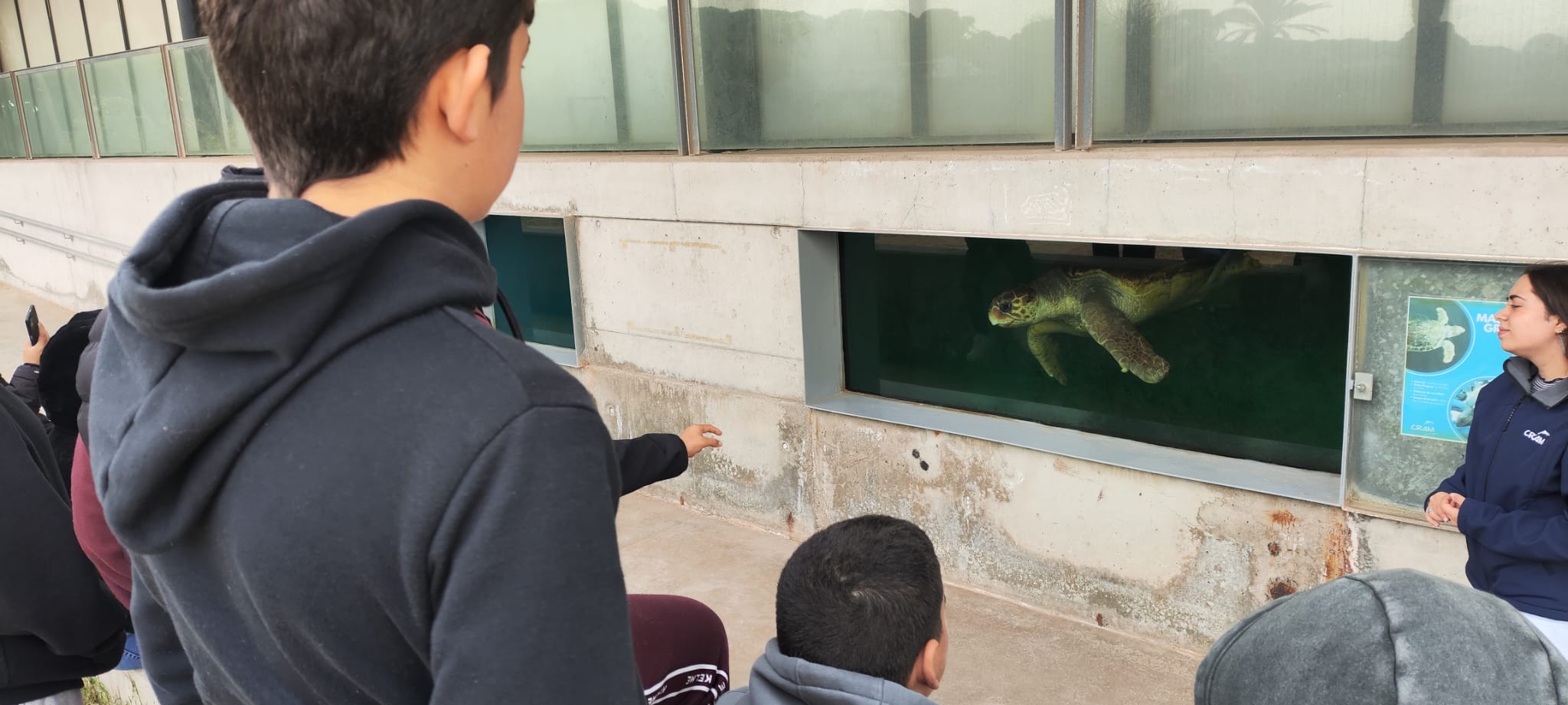 WhatsApp Image 2024-11-25 at 11.51.49(3)