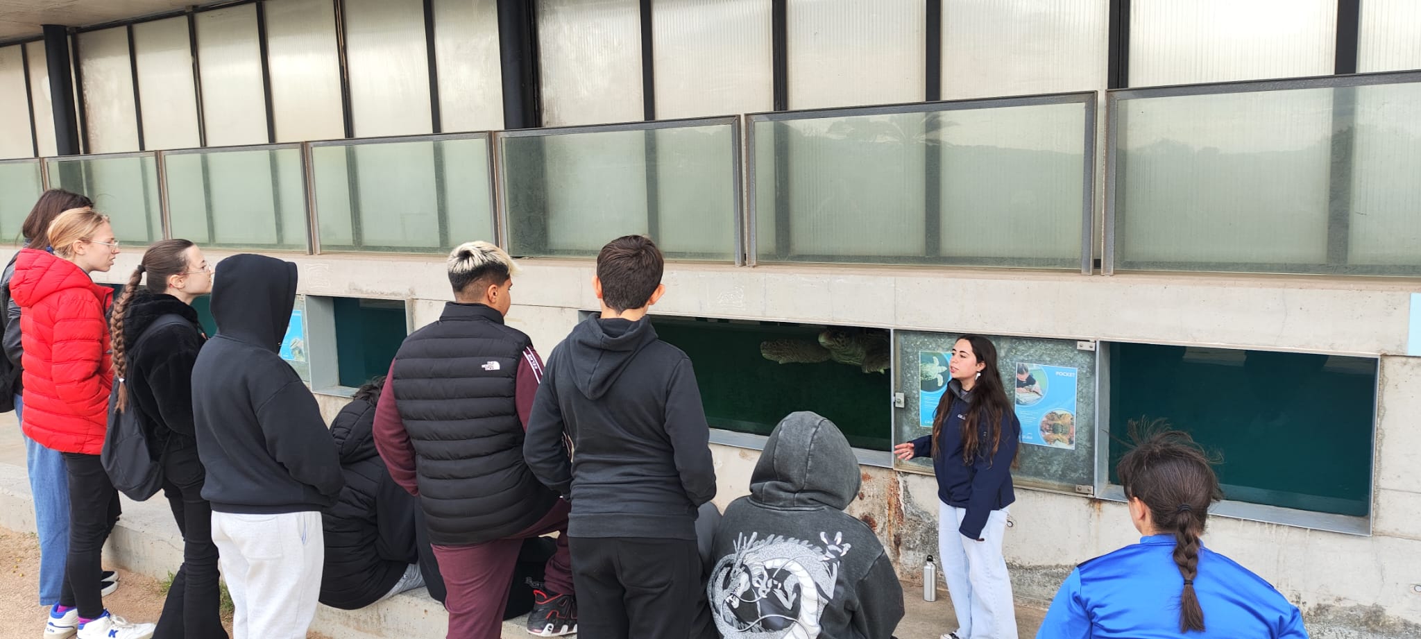 WhatsApp Image 2024-11-25 at 11.51.50