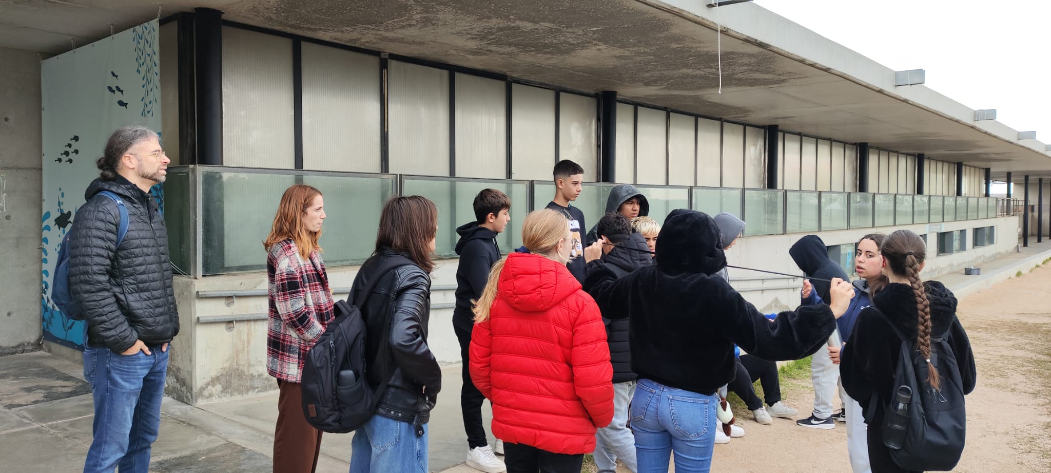 WhatsApp Image 2024-11-25 at 11.51.50(1)