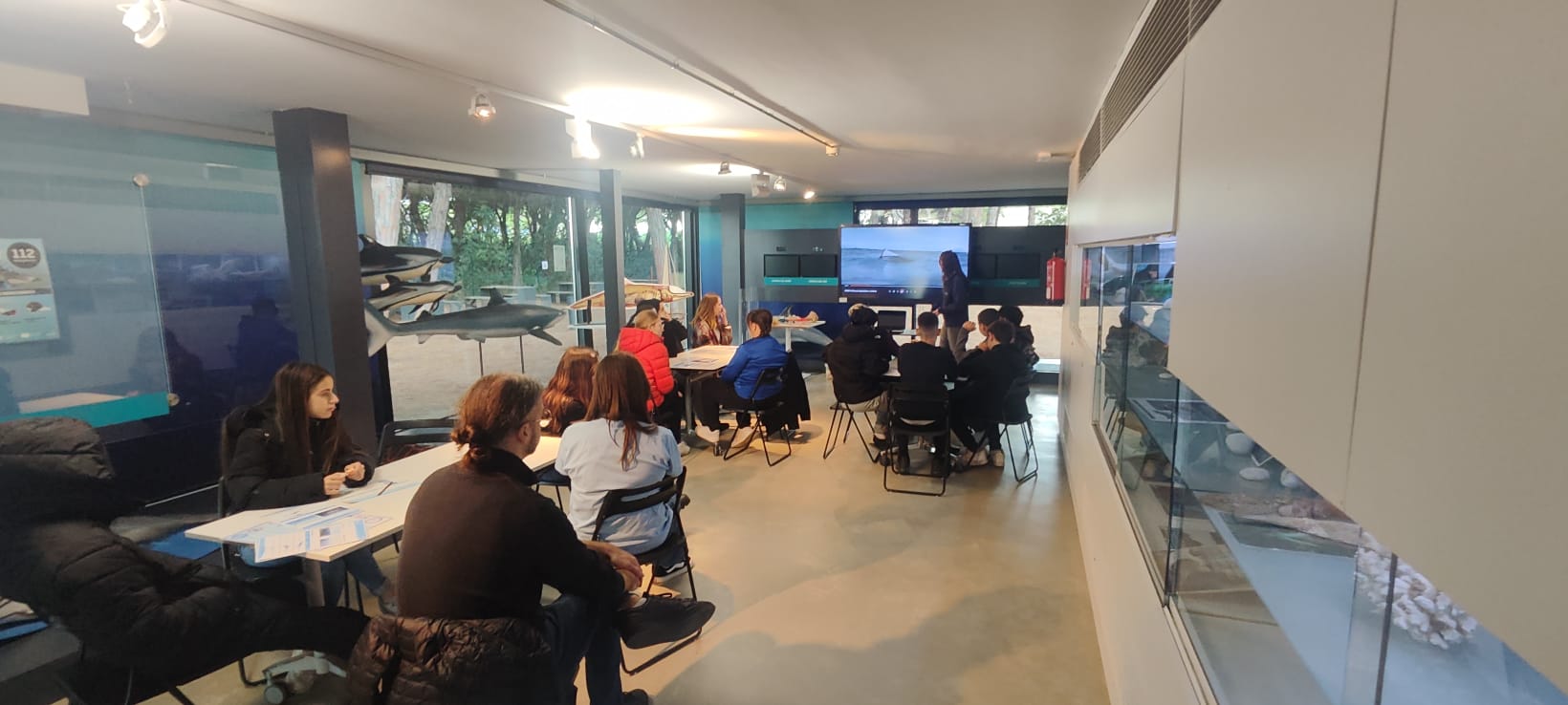 WhatsApp Image 2024-11-25 at 11.51.51