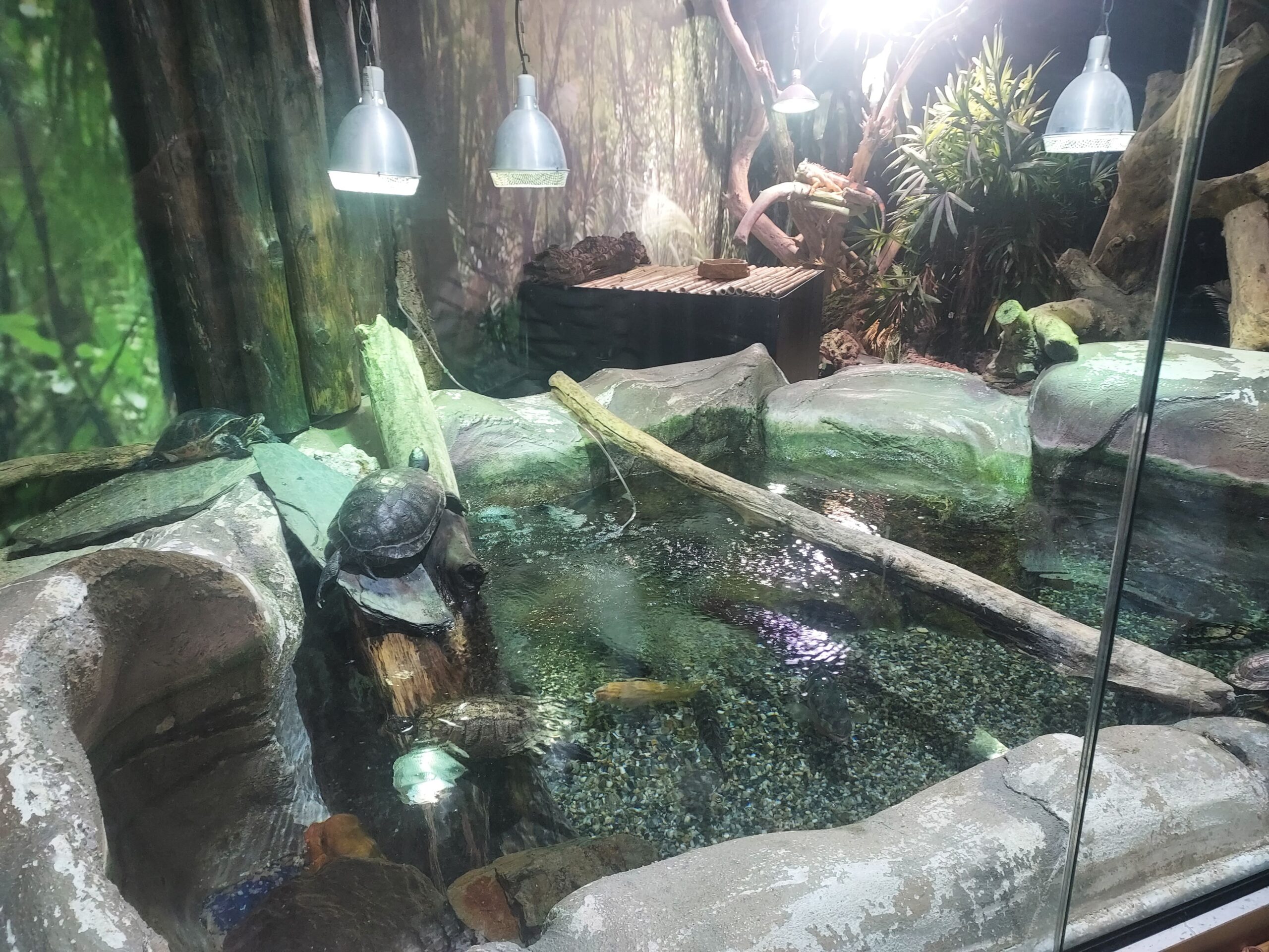 20250407_SortidaFrança1