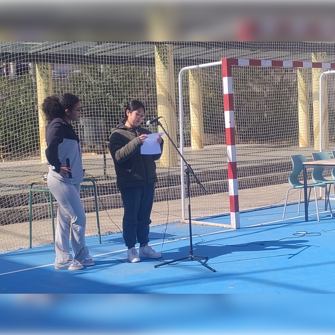 IMG_20250305_141428218