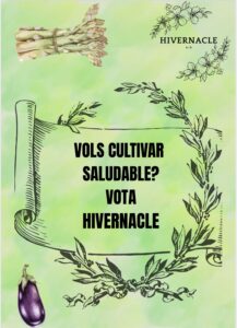 Cartell promoció 1D