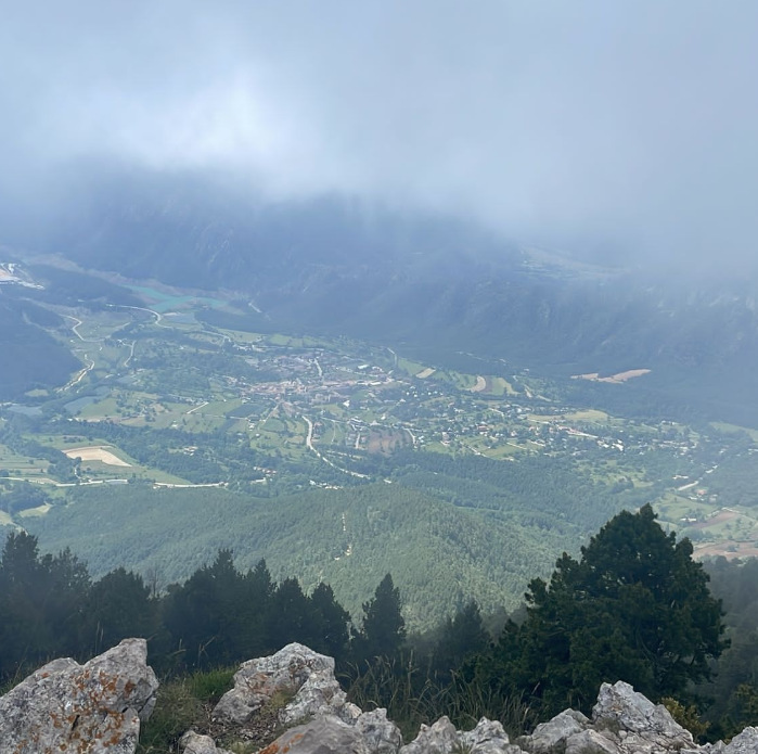 IMG_20240621_163723_076