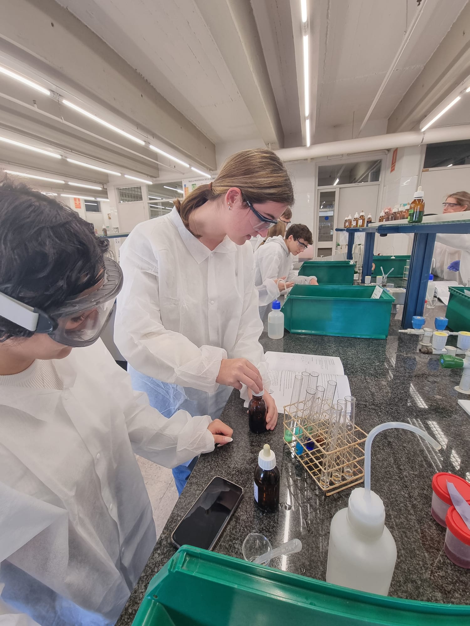 WhatsApp Image 2025-02-04 at 19.20.31 (2)