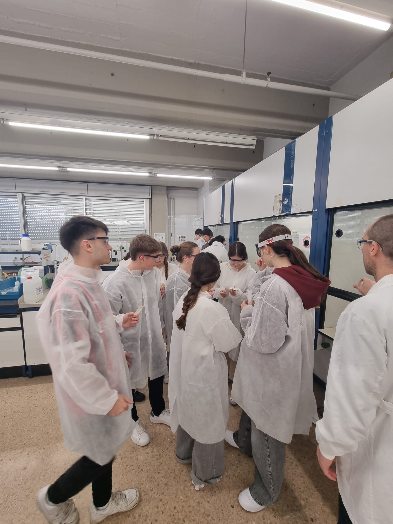 WhatsApp Image 2025-02-04 at 19.20.32