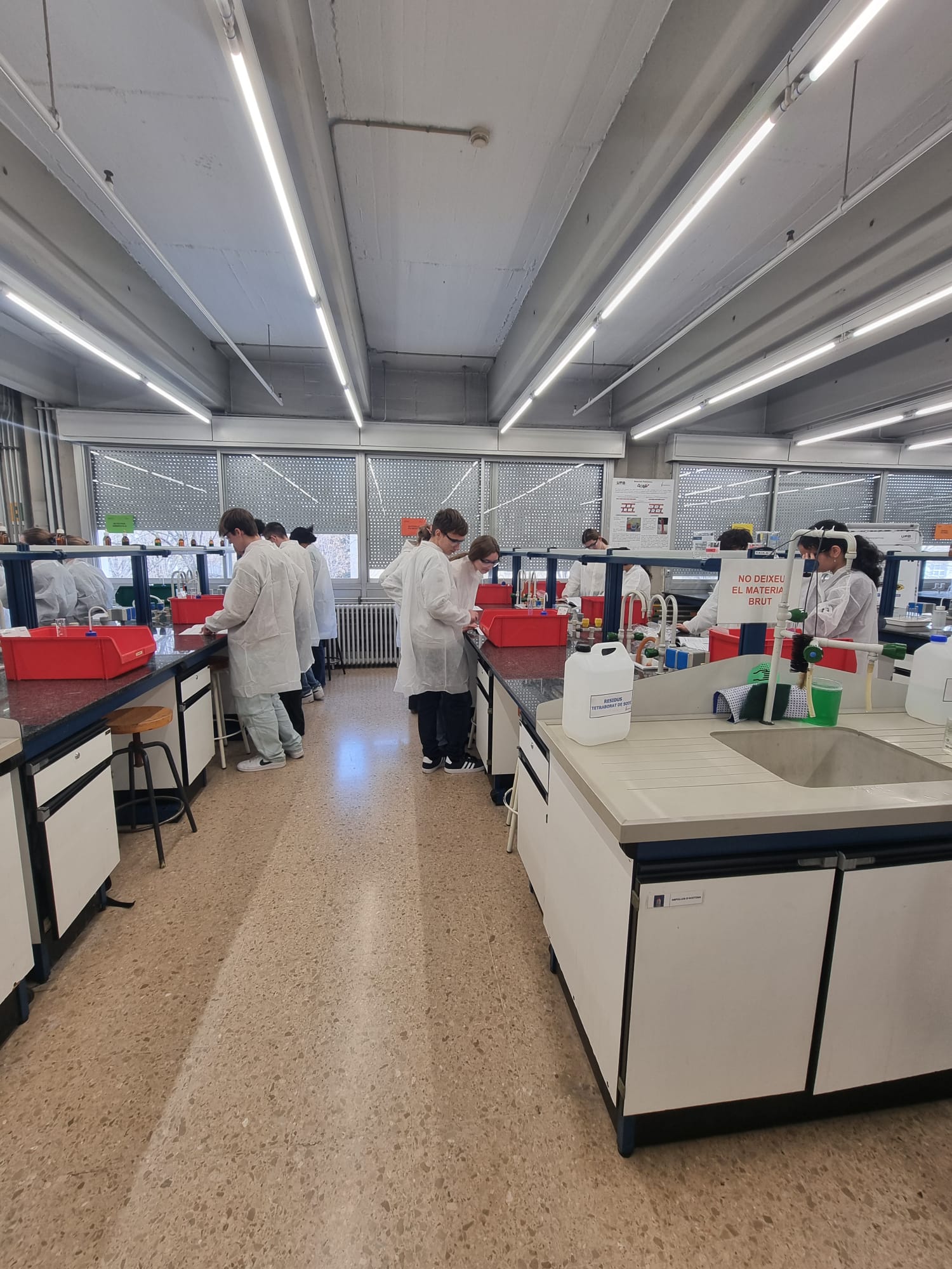 WhatsApp Image 2025-02-04 at 19.20.33 (1)