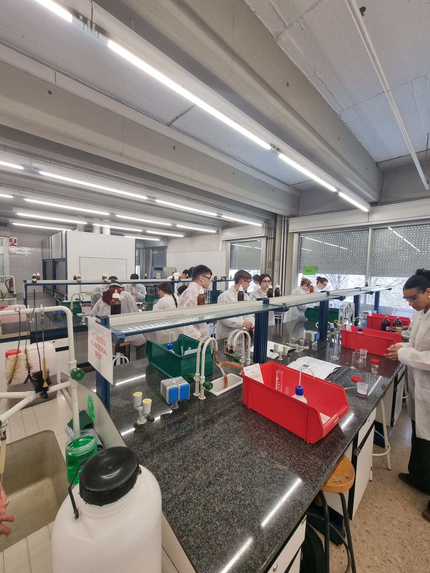 WhatsApp Image 2025-02-04 at 19.20.33