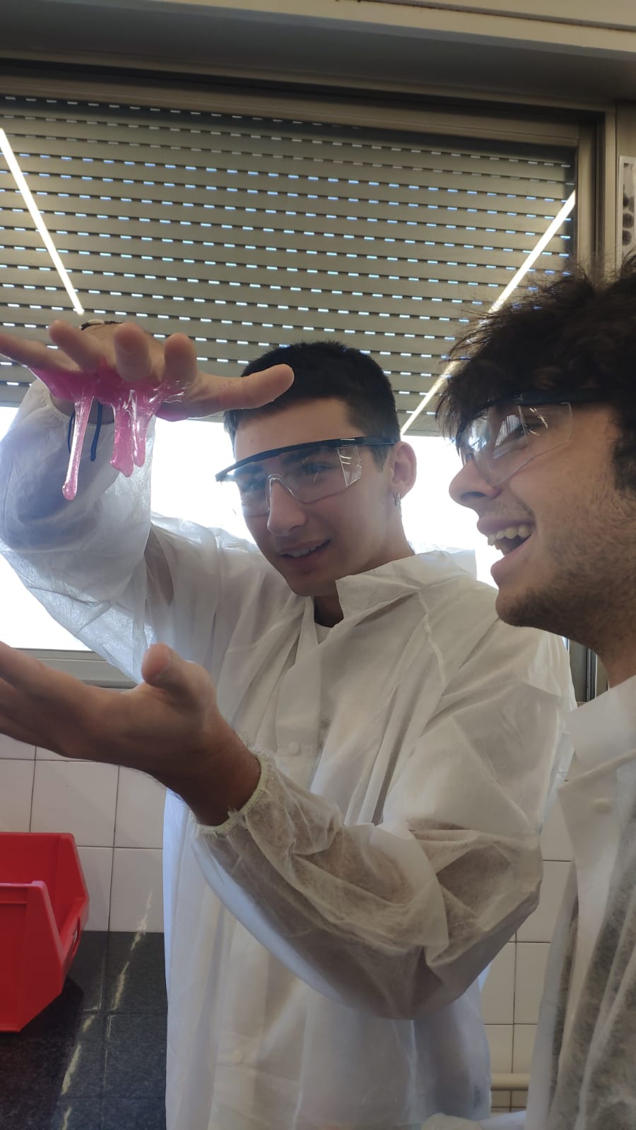 WhatsApp Image 2025-02-04 at 22.25.02