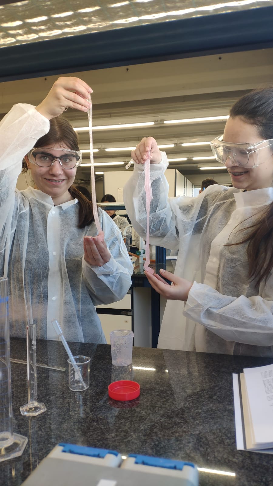 WhatsApp Image 2025-02-04 at 22.25.03