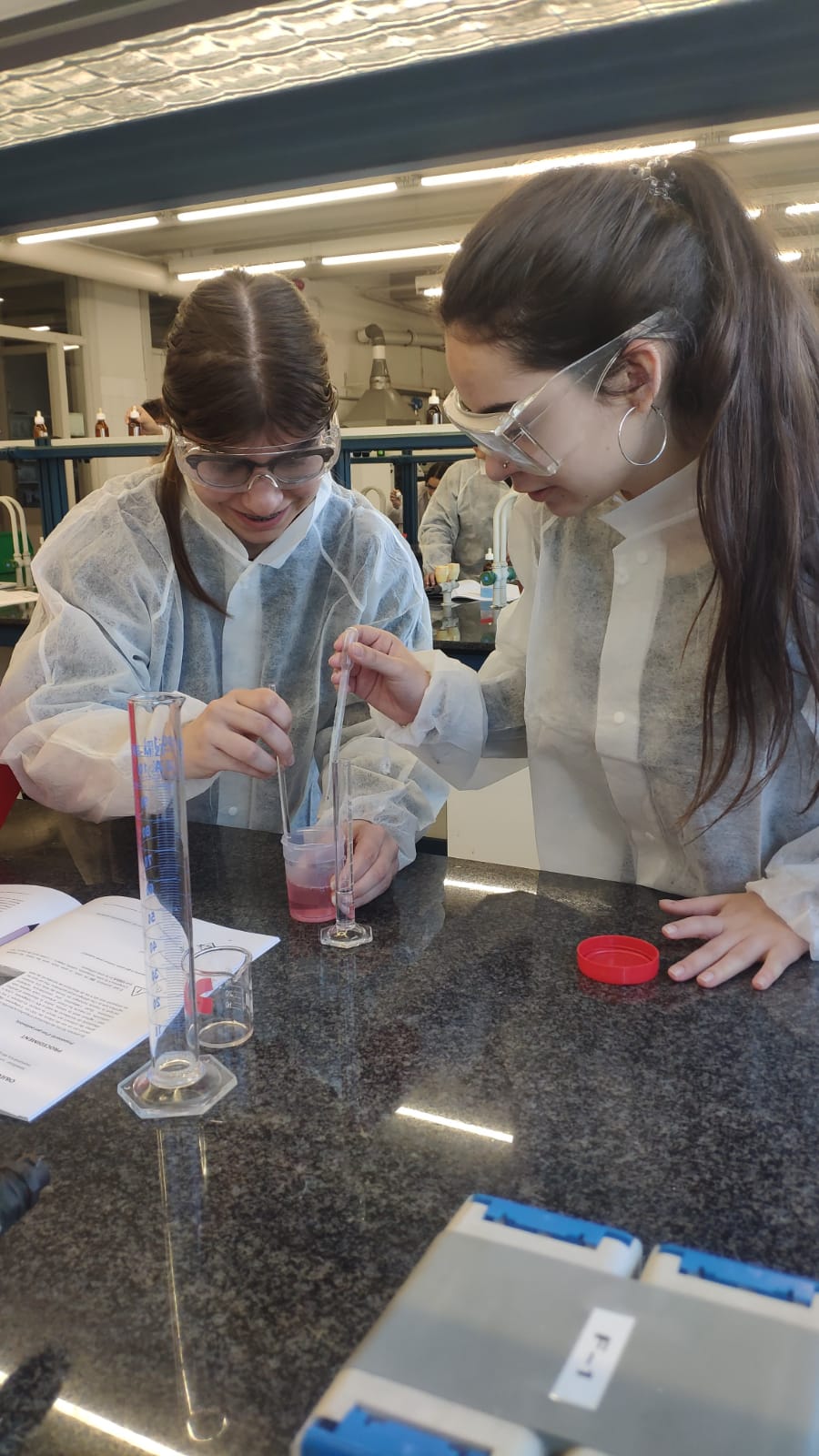 WhatsApp Image 2025-02-04 at 22.25.05