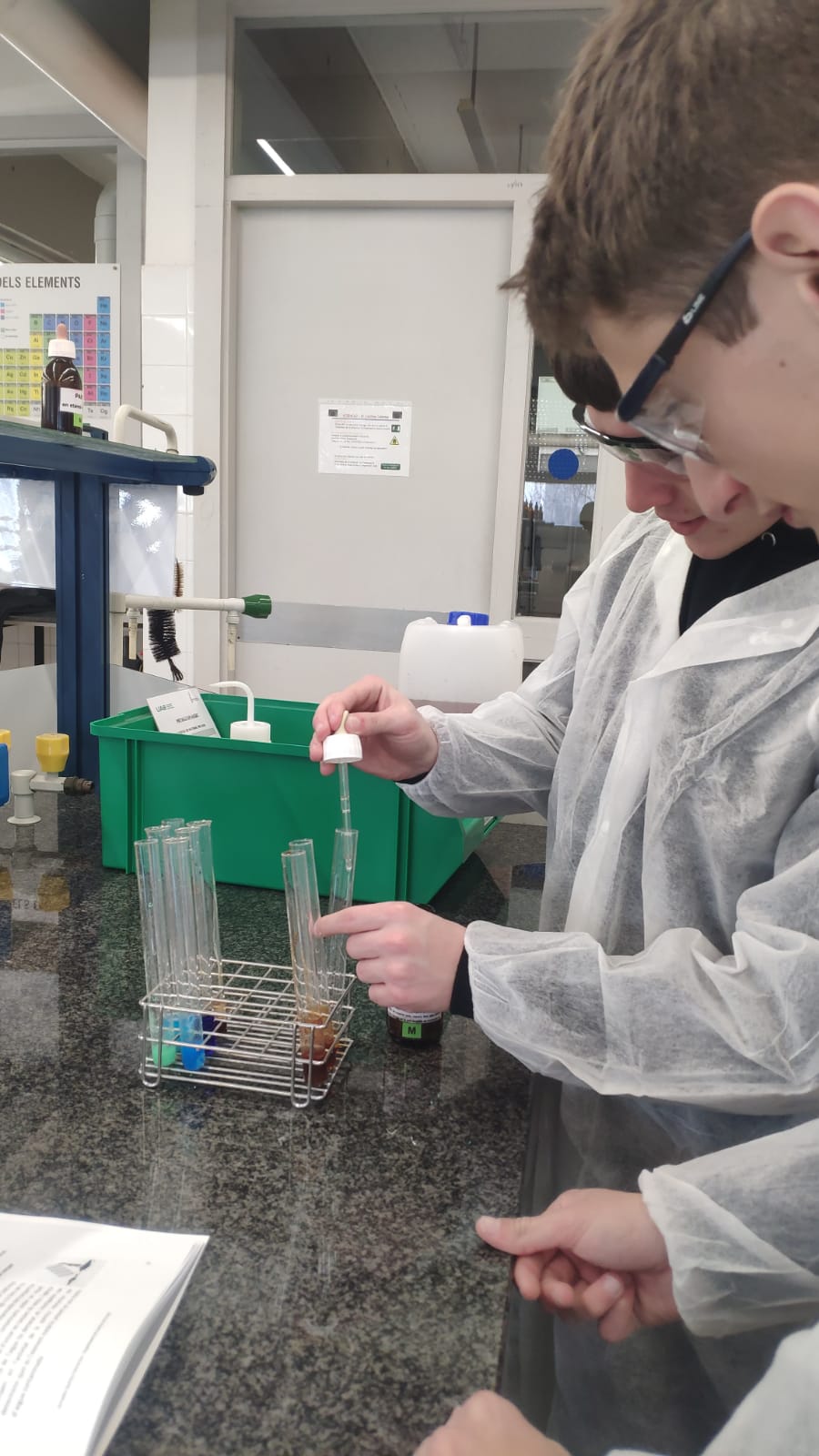 WhatsApp Image 2025-02-04 at 22.25.07 (1)