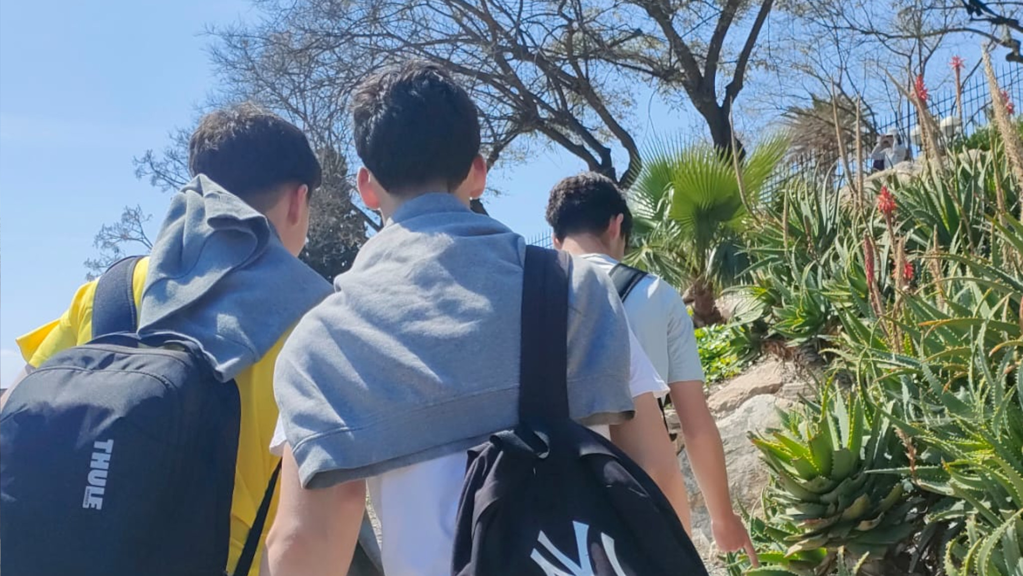 IMG-20250410-WA00011