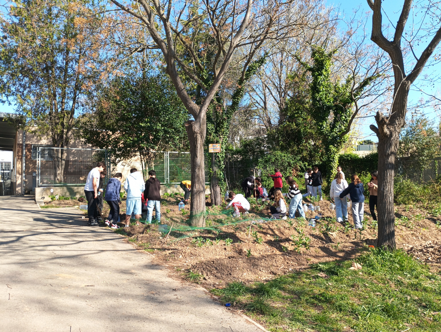 IMG_20260318_095614web