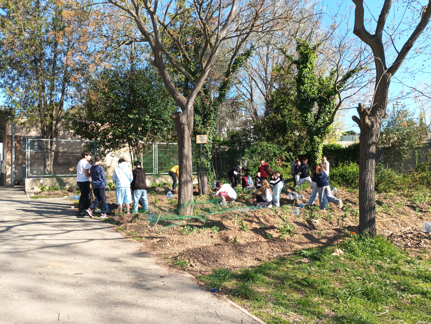 IMG_20260318_095615web