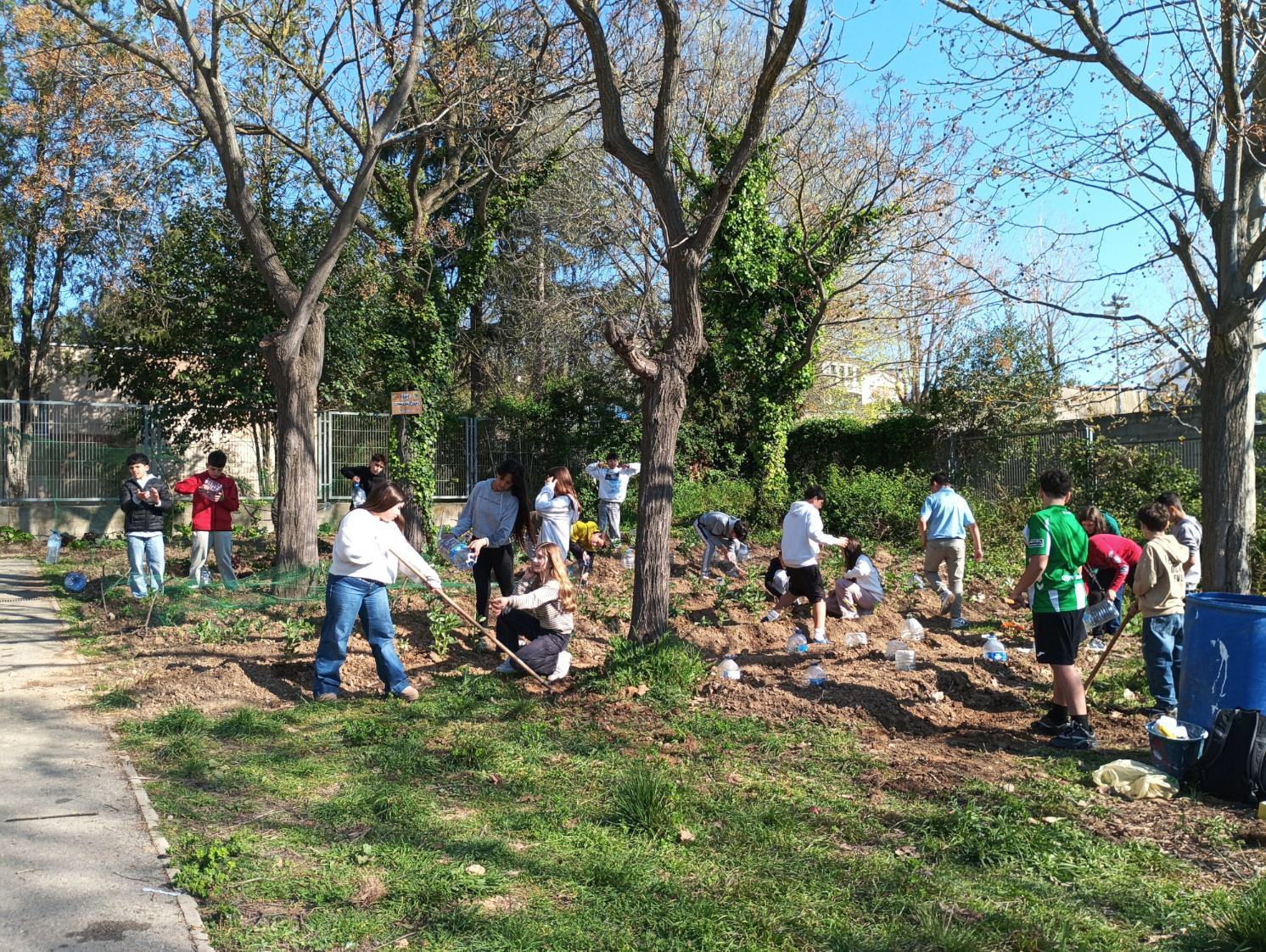 IMG_20260325_095747web