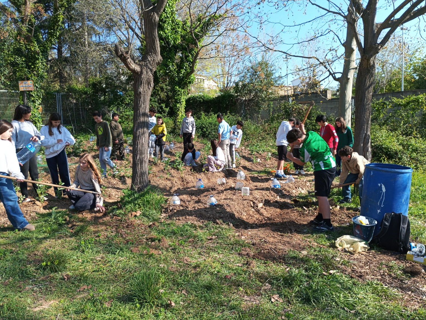 IMG_20260325_095817web