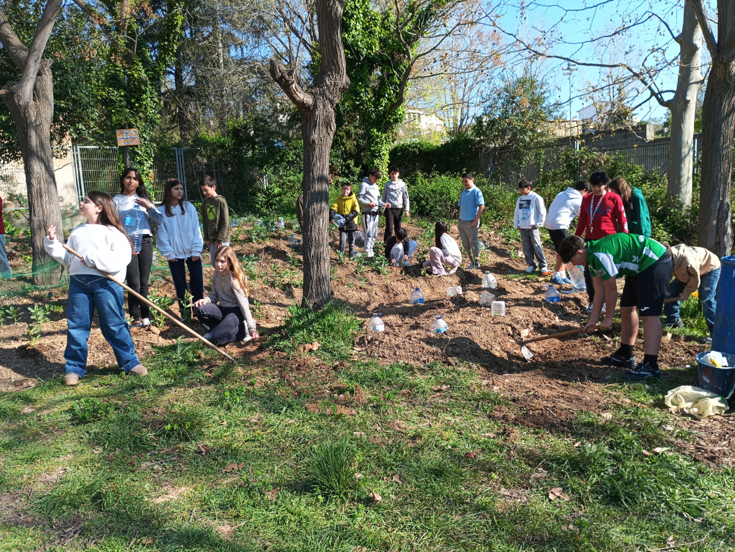 IMG_20260325_095821web