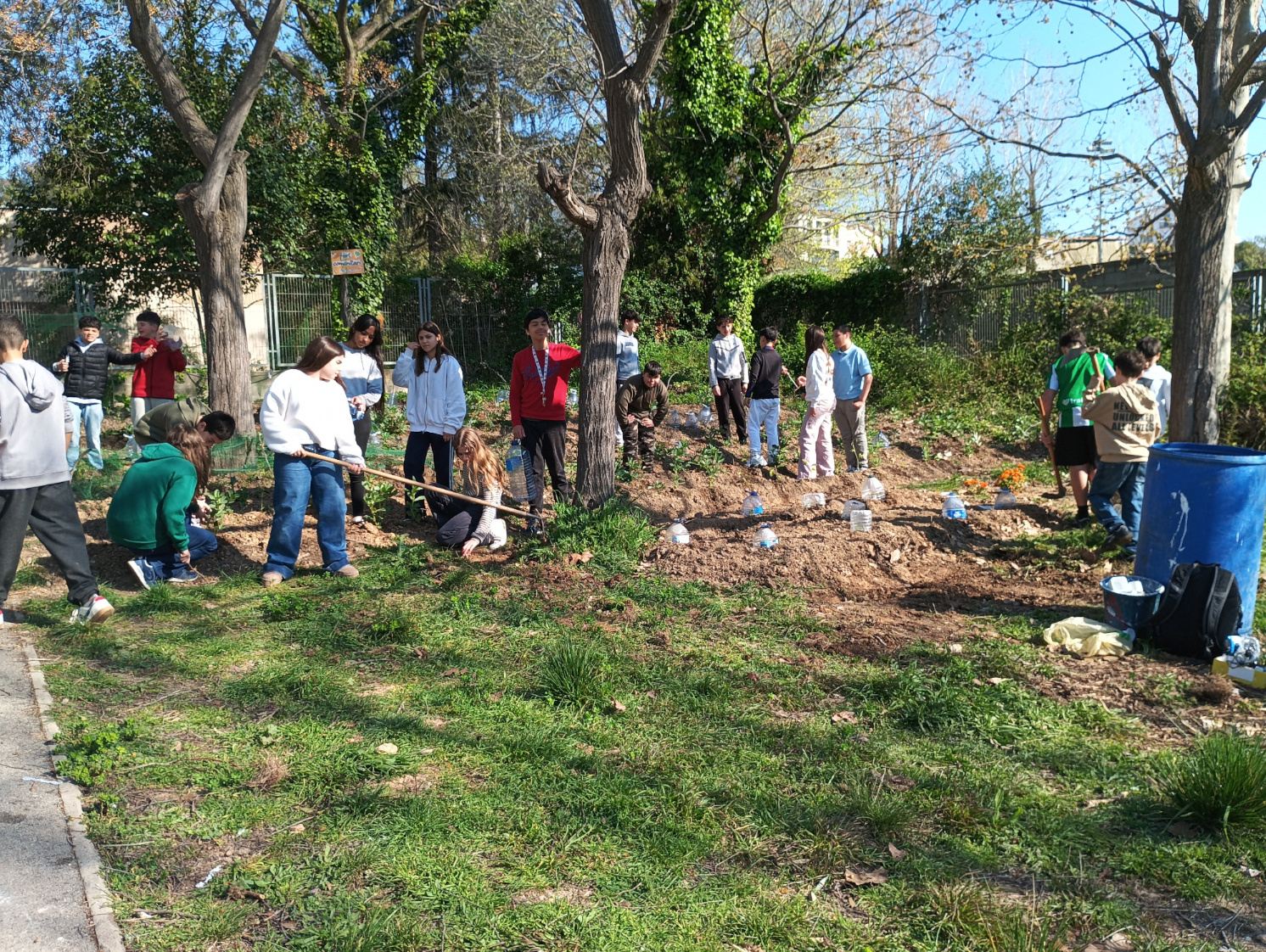 IMG_20260325_095840web