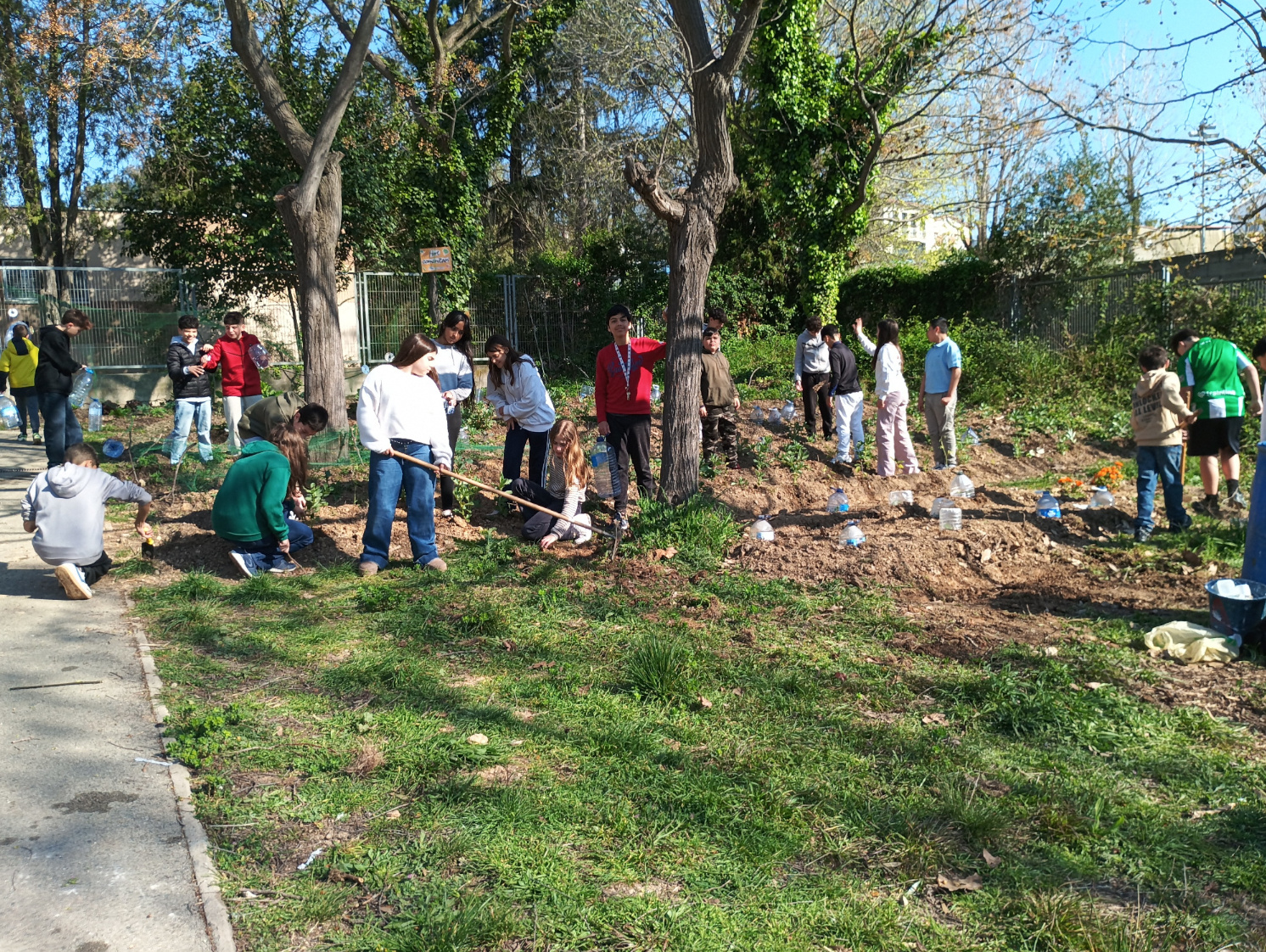 IMG_20260325_095842web