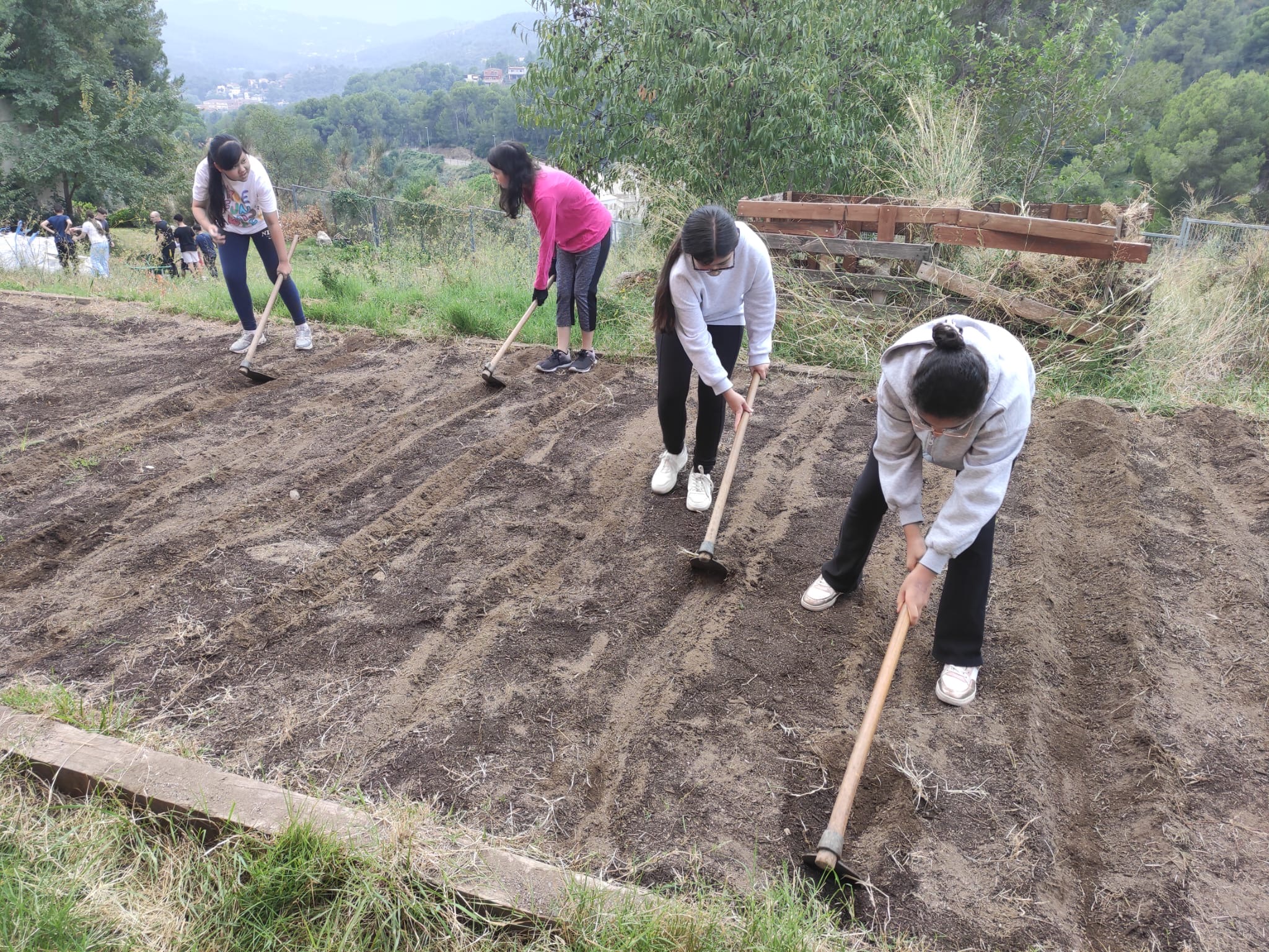 c7d67ee1-034e-4338-98b0-8b42d8f03716