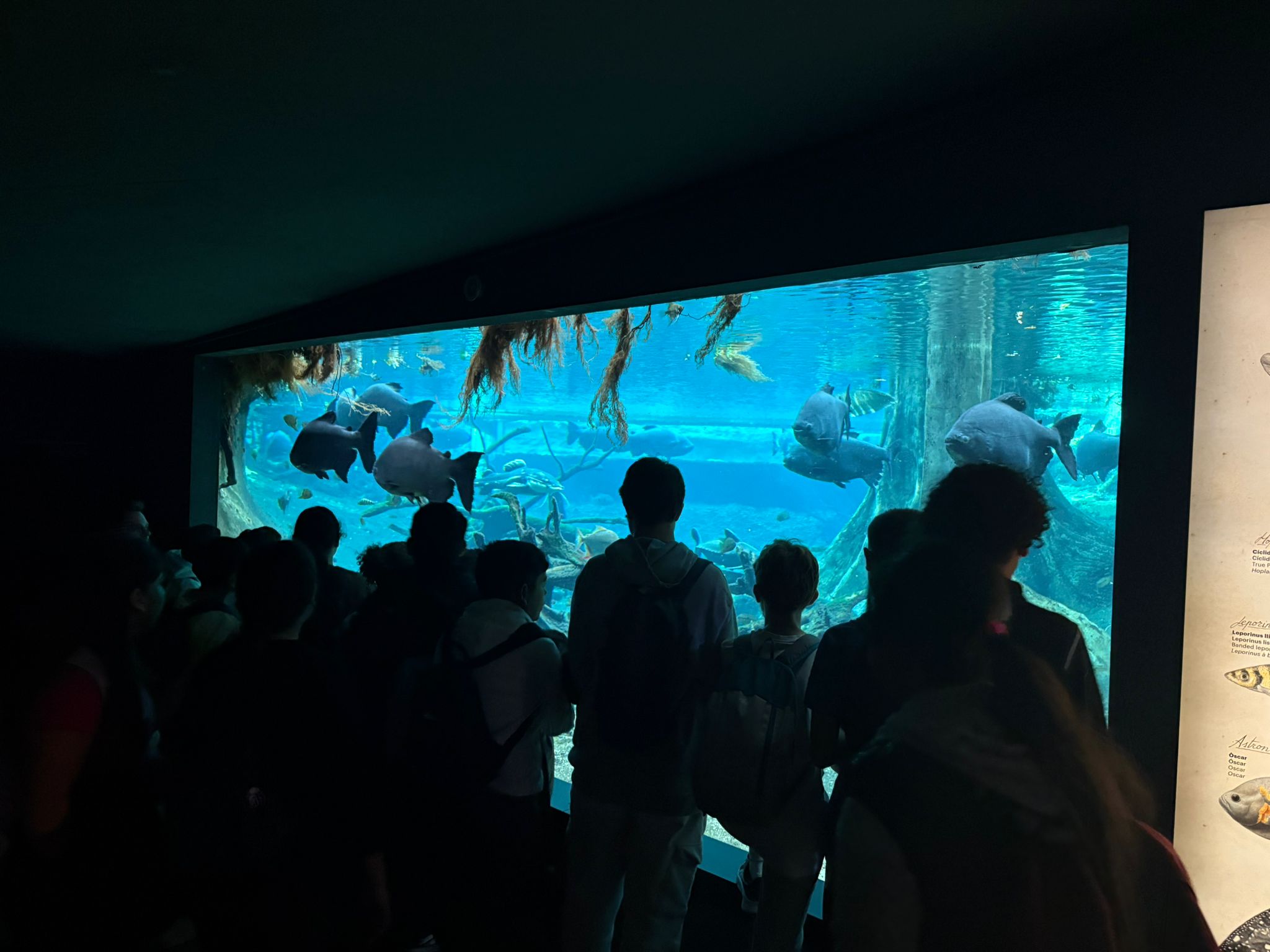 7e2c4d2c-7df0-4355-b0f0-959708e0db21