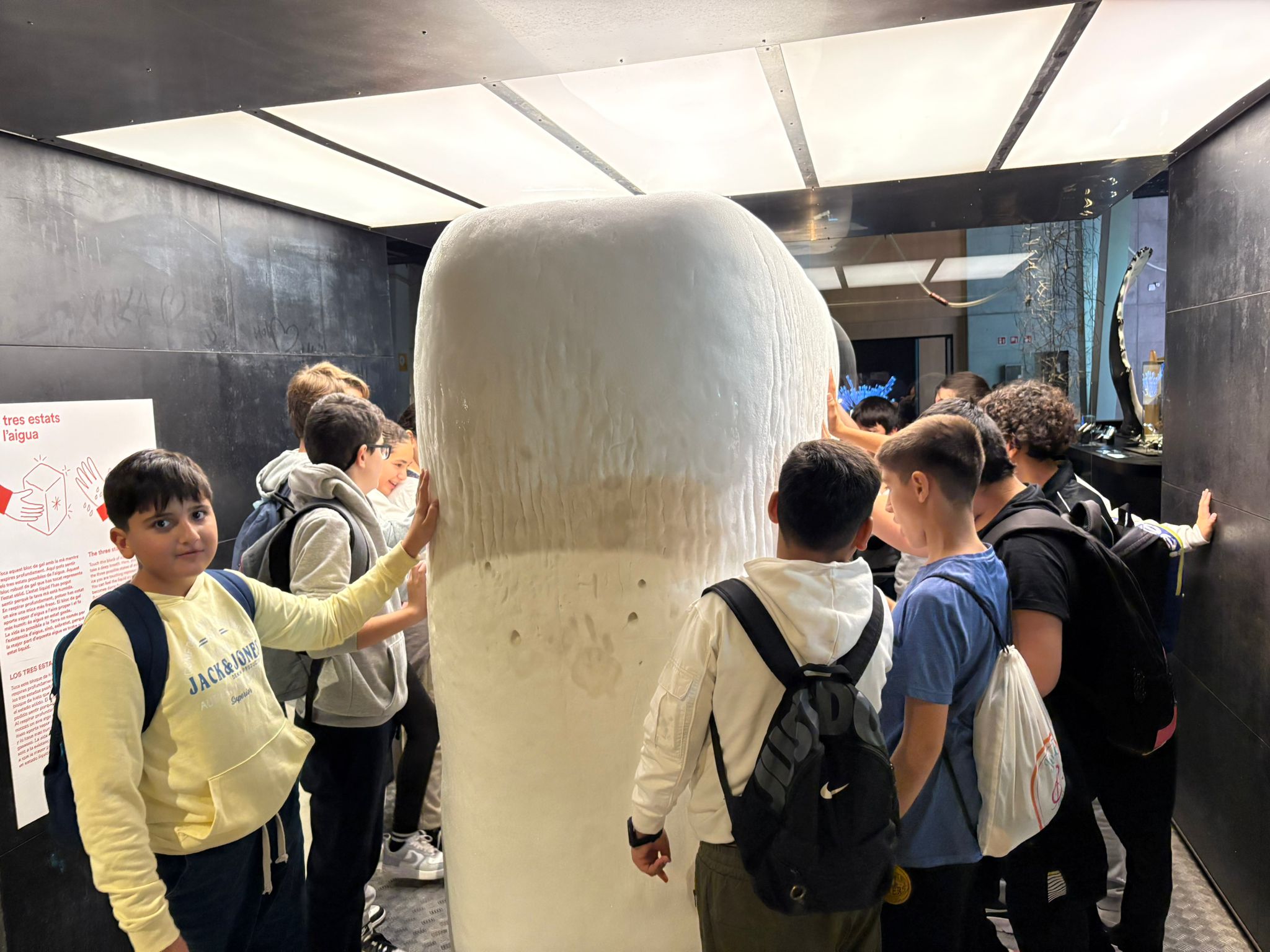 f96c7b84-eac3-4983-85f6-c922b2b19247