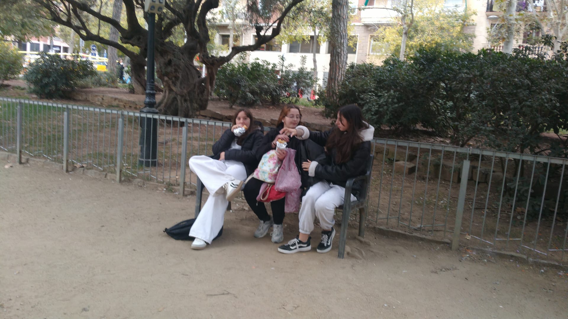 WhatsApp Image 2025-12-17 at 18.37.59 (1)