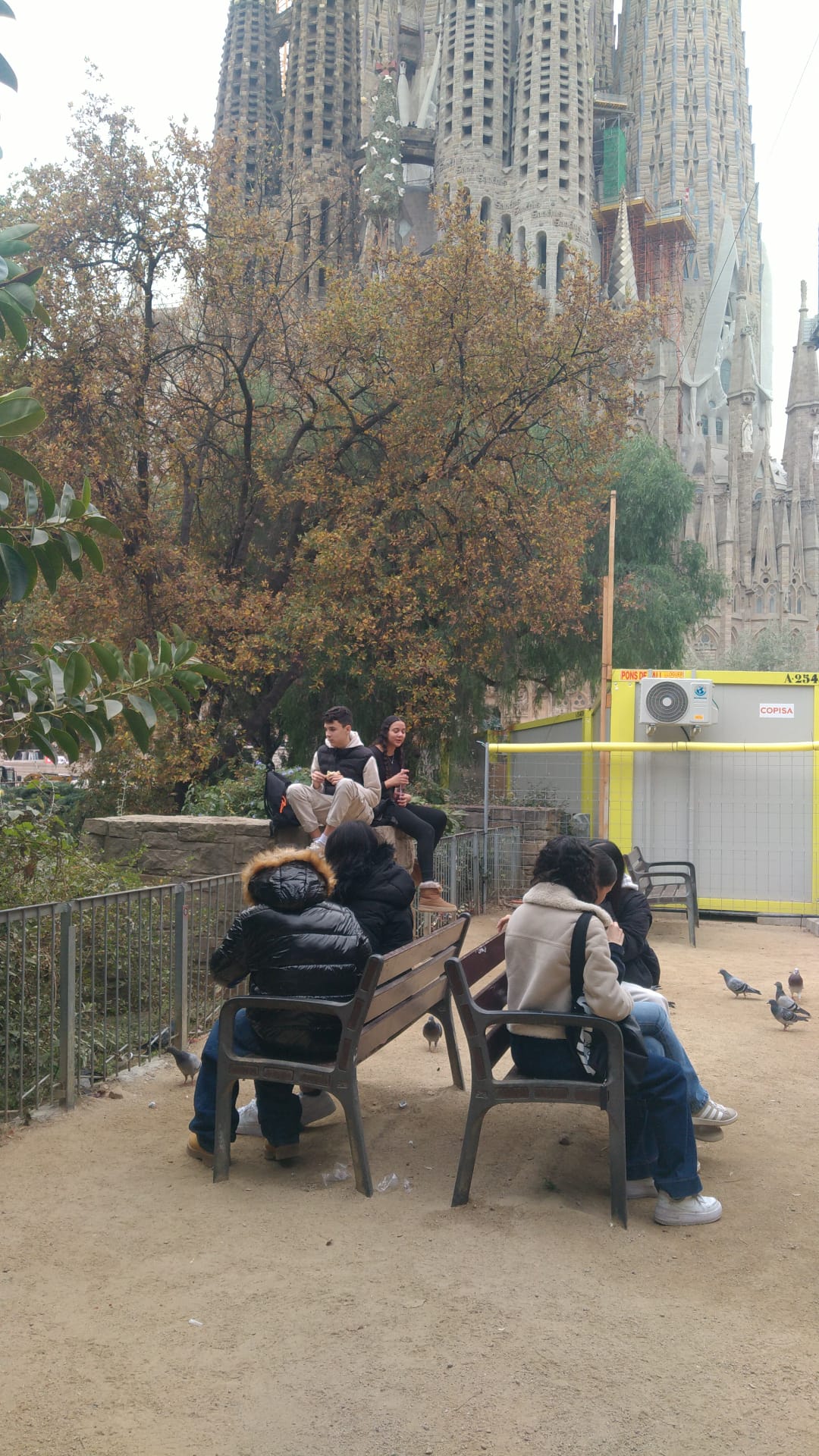 WhatsApp Image 2025-12-17 at 18.37.59 (2)